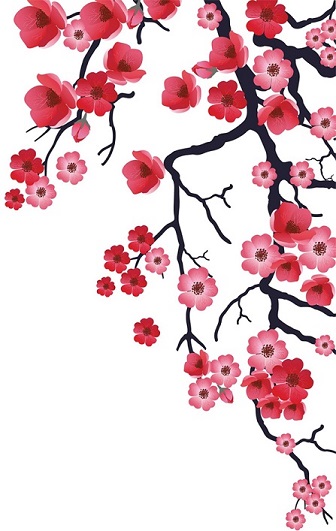 sakura